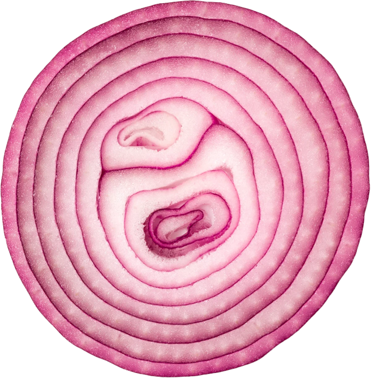 Fud Cuida-t+ - Cebolla