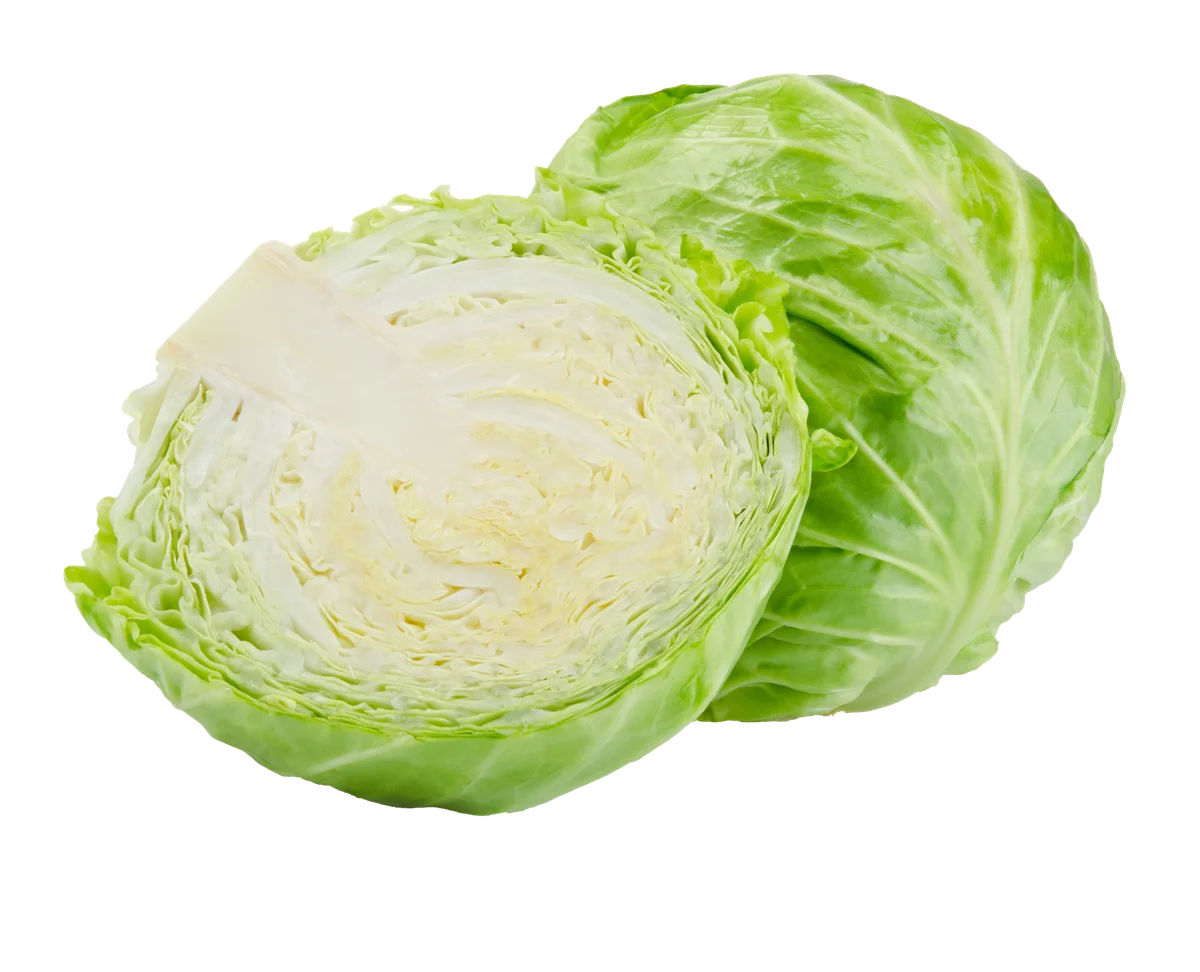 Fud Cuida-t+ - Lechuga