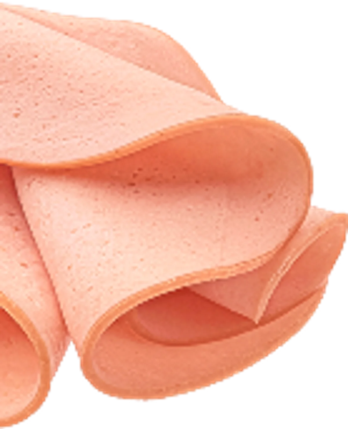 Fud Cuida-t+ - Jamón